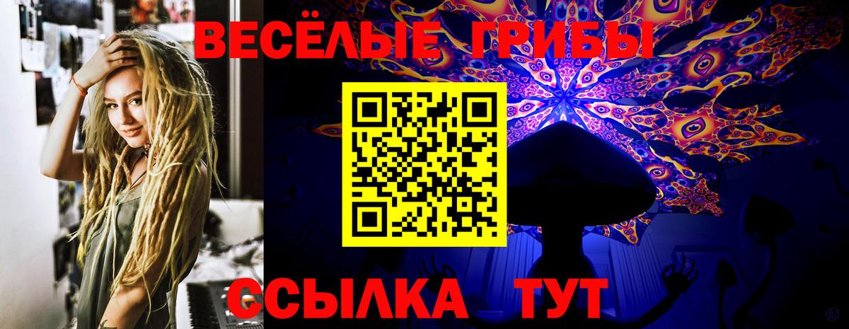 Псилоцибиновые грибы MAGIC MUSHROOMS  Вход с VPN  Татарск 